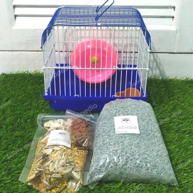 paket kandang + hamster winter white jinak
