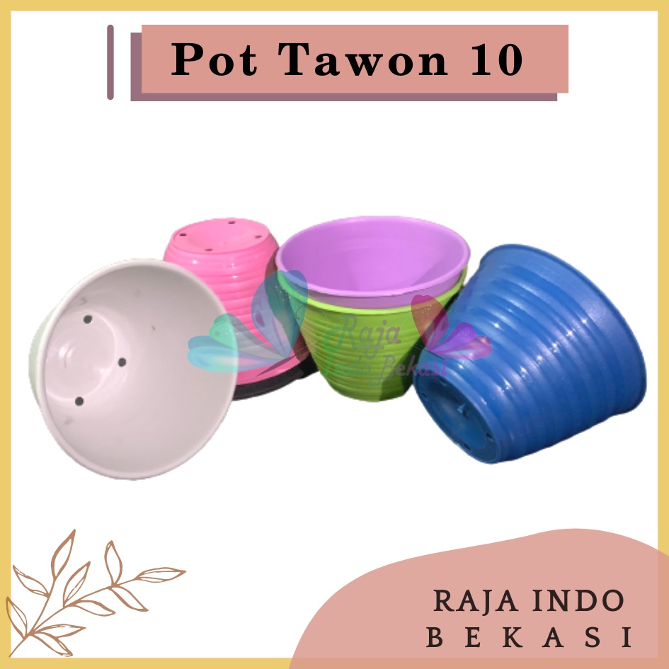 Lusinan Pot Tawon 10 Cm Warna Warni Putih Pink Biru Hitam - Pot Tawon 10 Cm Warna Warni Putih Tirus Grosir - Lusinan Isi 12