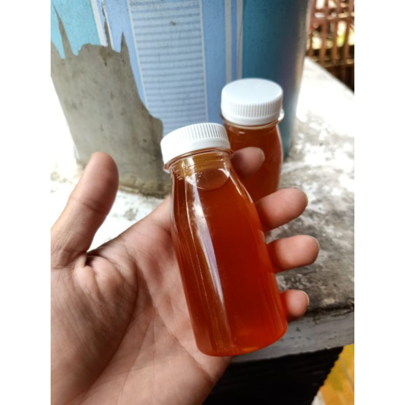 minyak ikan hiu murni