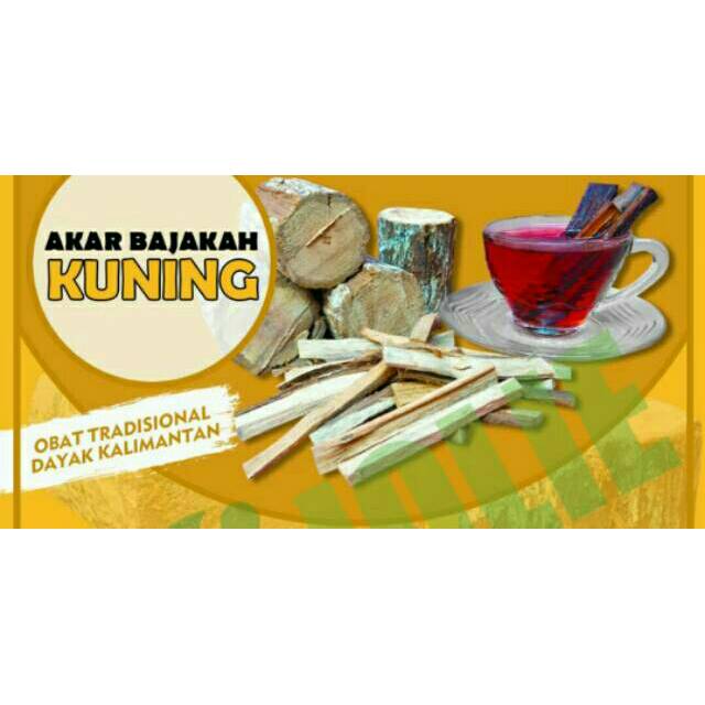 KAYU BAJAKAH KUNING ASLI 100% KALIMANTAN