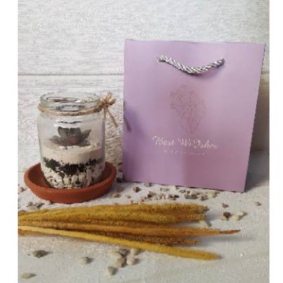 gift kado kekinian paket terrarium sukulen kaktus mini hampers premium tanaman hias souvenir pernika