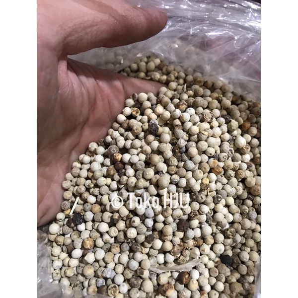 

lada putih kasar utuh bulat 100g