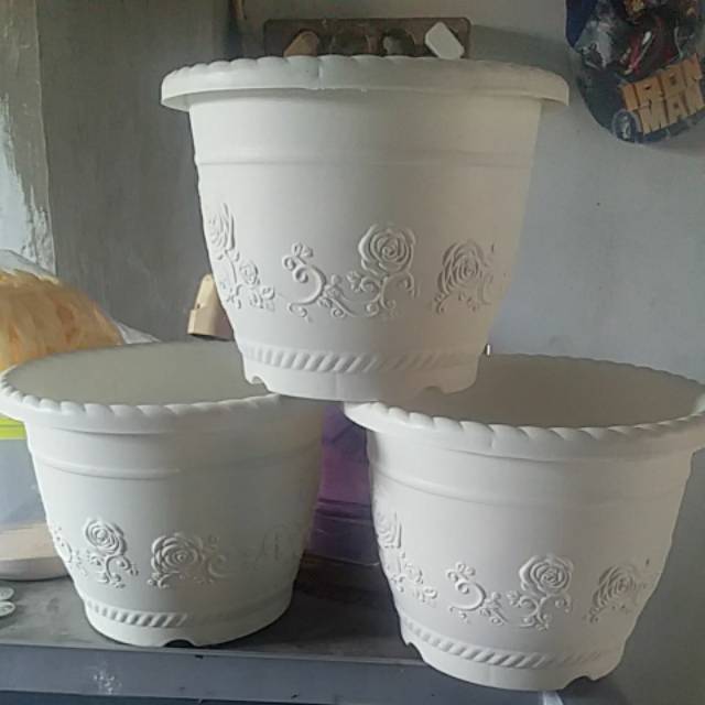  Pot  Bunga  Tanaman SHALLOM ukuran  diameter 20  cm putih 