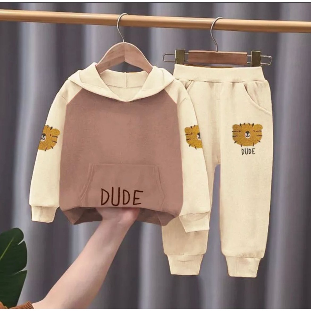 SETELAN HOODIE CELANA JOGER BAYI ANAK MOTIF DUDE USIA 6 BULAN-5 TAHUN BAHAN BABYTERRY LEMBUT TERMURAH TERLARIS TERBARU/ SETELAN HOODIE CELANA JOGER BAYI ANAK LAKI-LAKI/ SETELAN HOODIE CELANA JOGER BAYI ANAK PEREMPUAN/ SETELAN HOODIE CELANA JOGER ANAK COWO