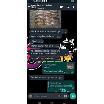Black Gacoy Oplosan Terbaik Lomba Ikan Mas,Galapung,Galatama,Cocok Semua Media Umpan,Oplosan Ikan Ma
