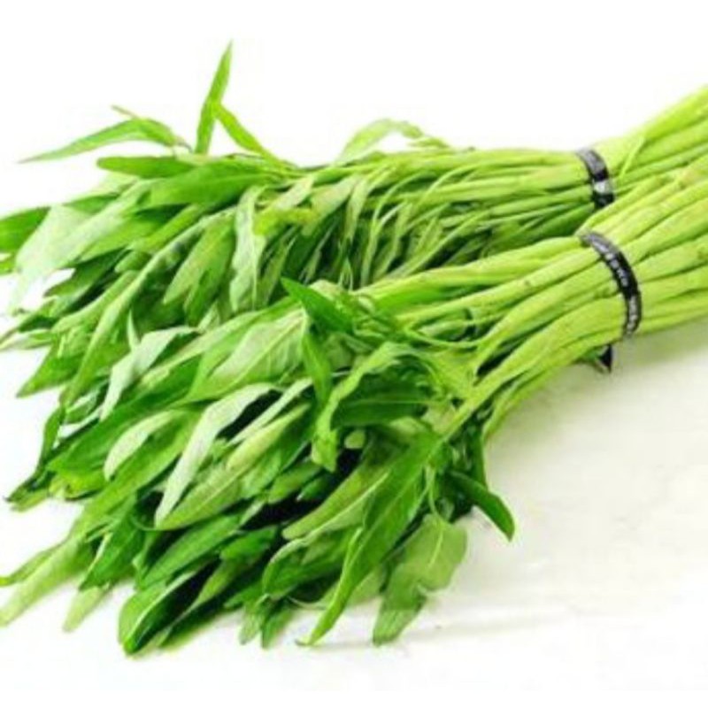 

Kangkung segar