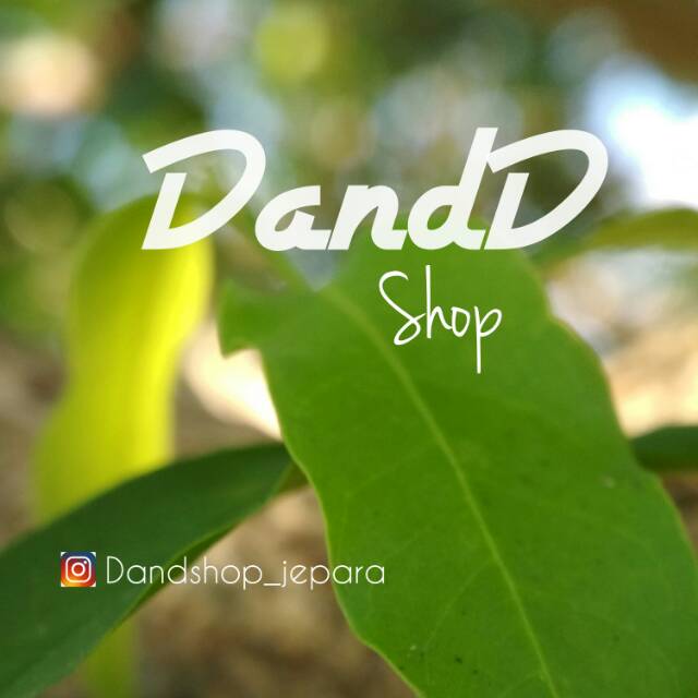dedyribowo2