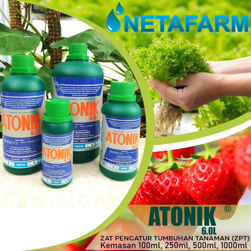 ATONIK 6.0 L Zat Pengatur Tumbuh Tanaman / ZPT ( 100ml )