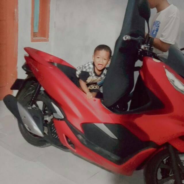 api81bilos