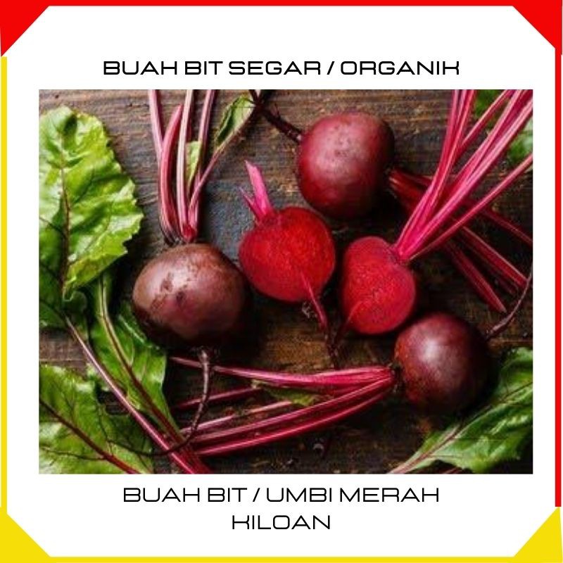 

Buah Segar Sayur Buah Bit Buah Bit Merah Organik Beetroot Fresh 1 Kg