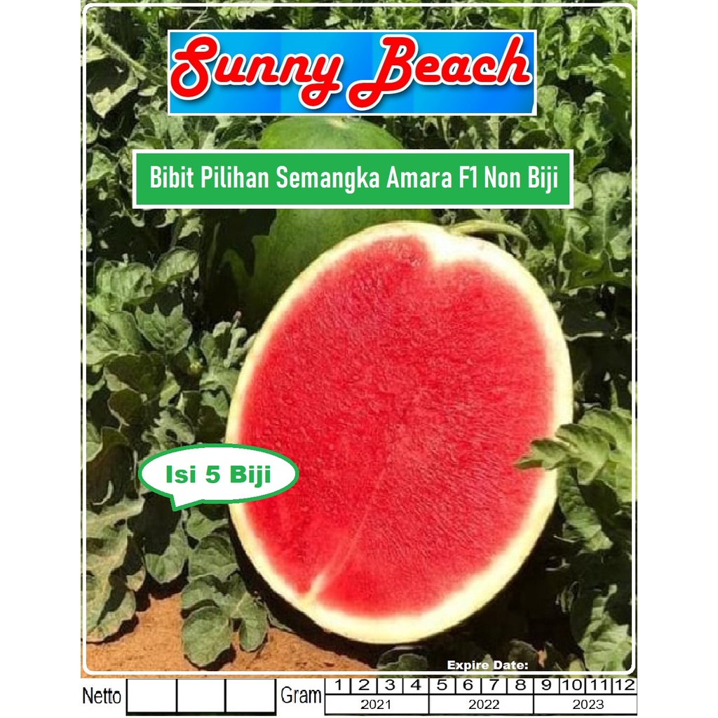 Bibit Semangka Amara F1 Non-Biji | Bibit Semangka Merah Tanpa Biji |BenihSemangka Amara F1