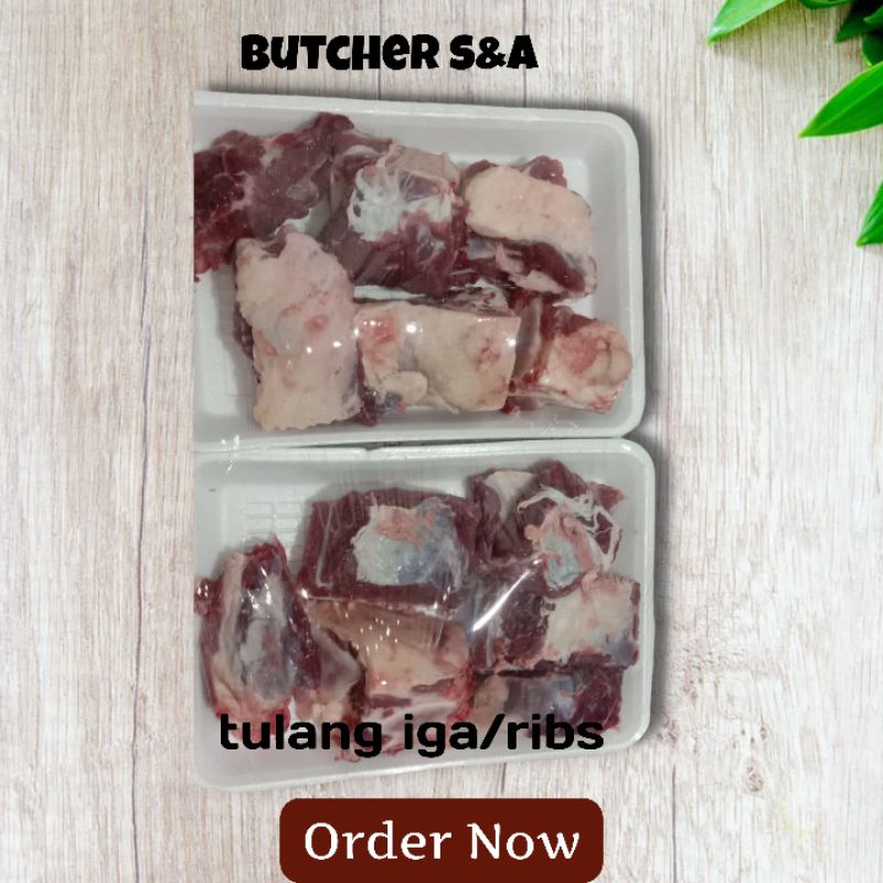 

tulang iga /ribs