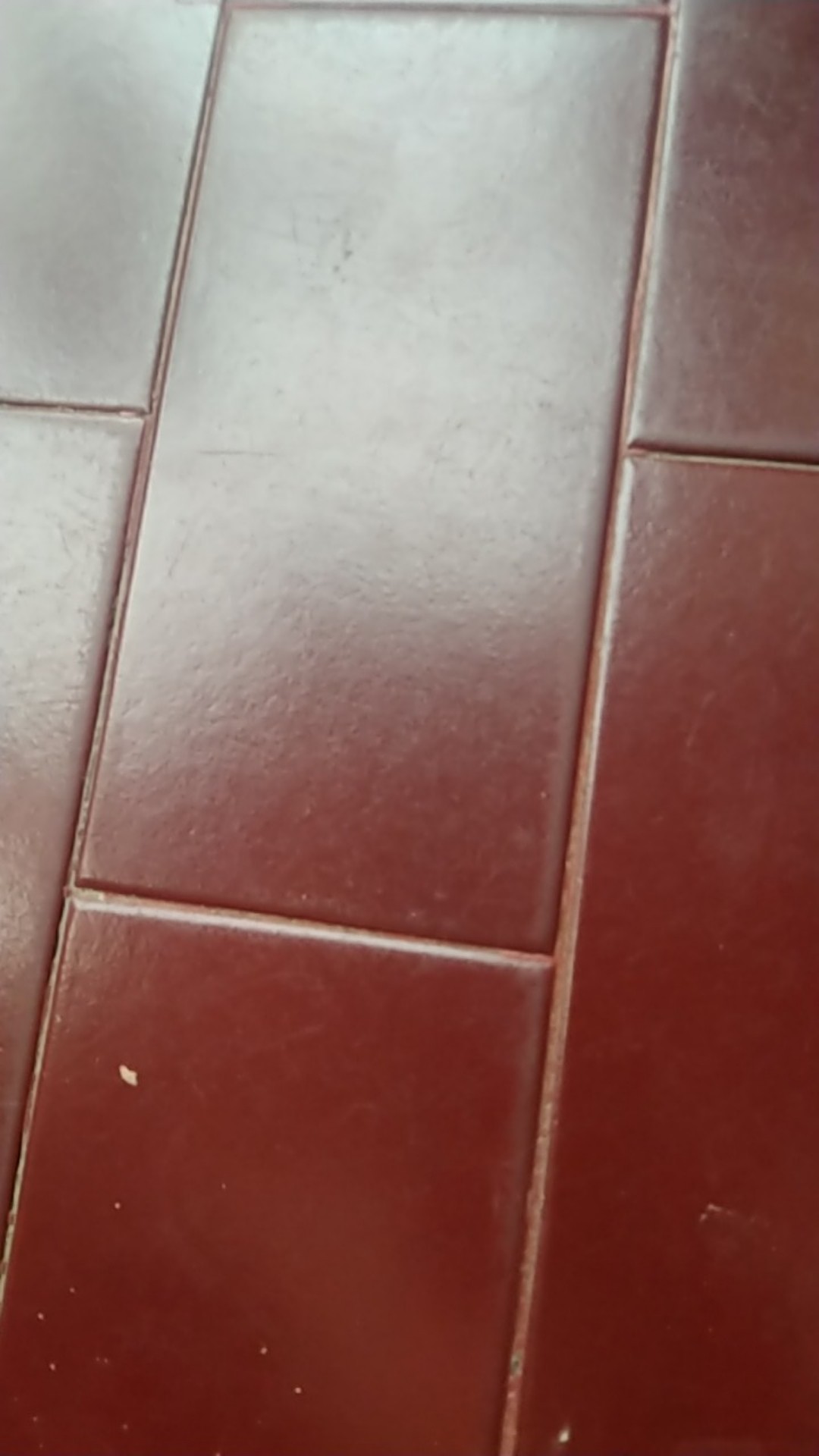 Pisau Acar Gerigi Irisan Wortel Puding Gelombang Stainles