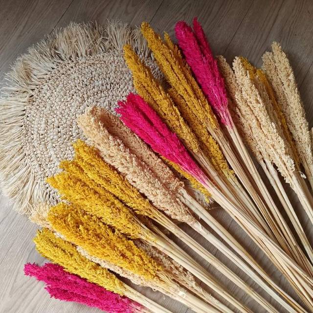 Bunga Hias Bunga Kering