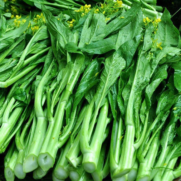 Benih Bibit Biji - Sawi Bunga Choy Sum Caisim Hongkong Seeds - Panen Dalam 30 Hari