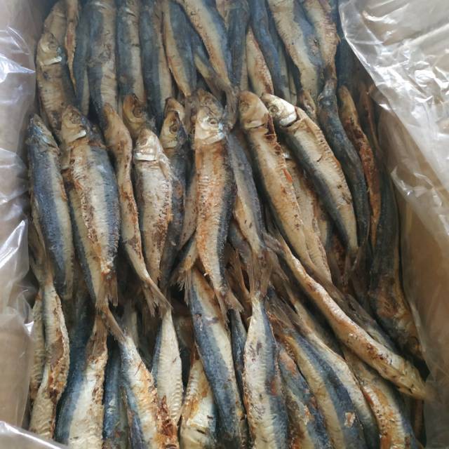 

Ikan asin japuh 65 gram