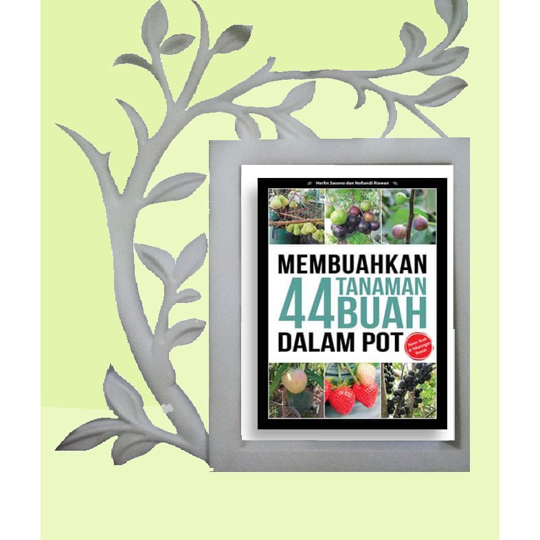 MEMBUAHKAN 44 TANAMAN BUAH DALAM POT