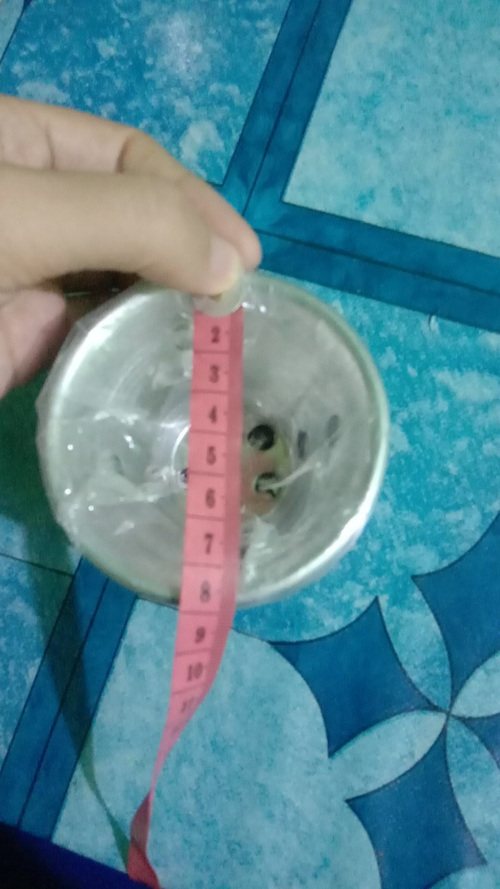 Cetakan Press Kue Bolu Kukus Ukuran A 1lusin