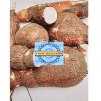 

Singkong singkong sapi kuru segar per 1 kg