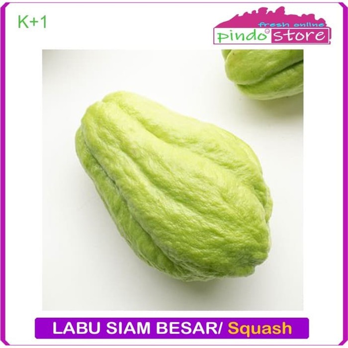 

LABU SIAM BESAR / SQUASH / LABU SAYUR BIJIAN / JIPANG