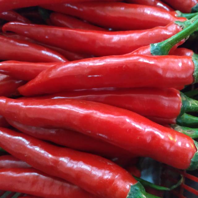 

[250gr] Cabe Merah Besar