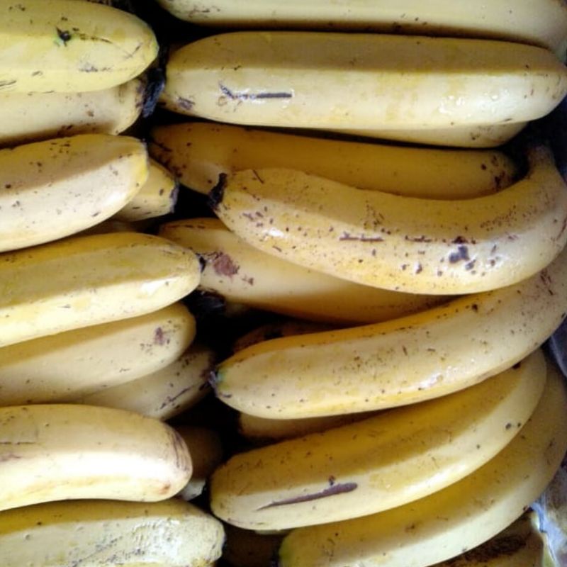 

Pisang Ambon Pretel | Pisang Sunpride Pretel | Buah Segar Cikarang
