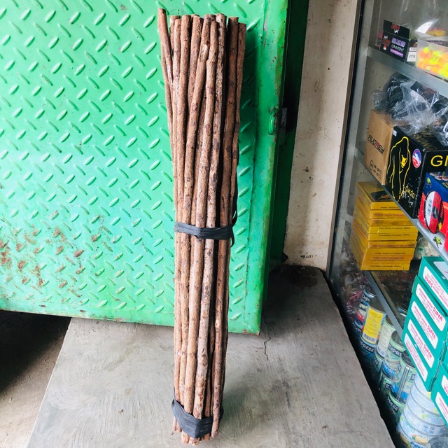 Kayu Asem Untuk Tangkringan Burung 60 Cm