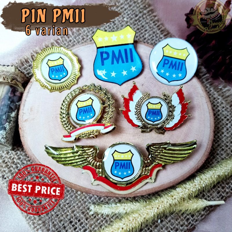 PIN PMII