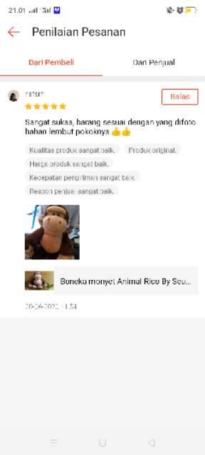 Boneka Monyet Animal Rico Size L by Seulgi