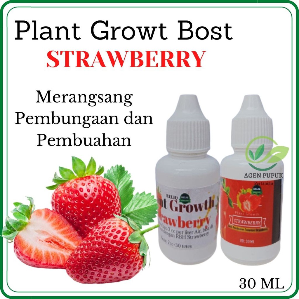 Pupuk Strawberry Agar Berbuah Lebat, Hormon Booster Strawberry, Booster Strawberi