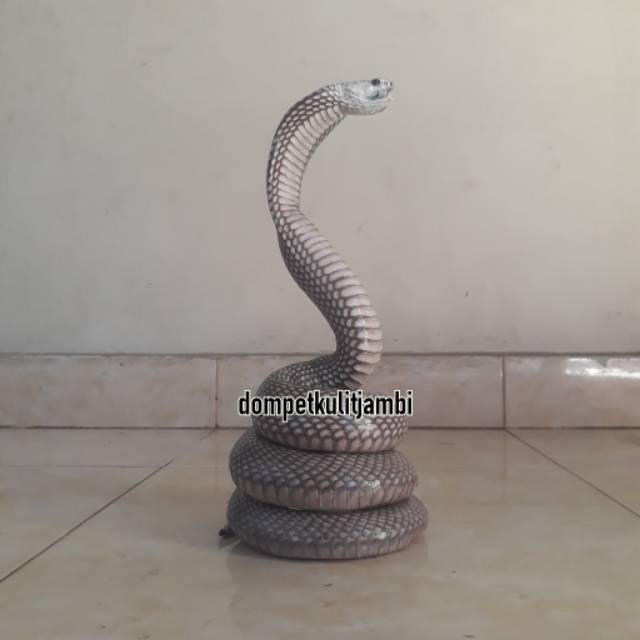 PATUNG KULIT ULAR KOBRA ASLI