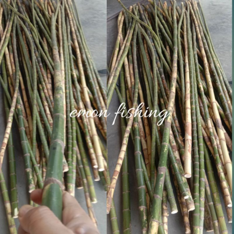 BAMBU WAREGU BAHAN JORAN