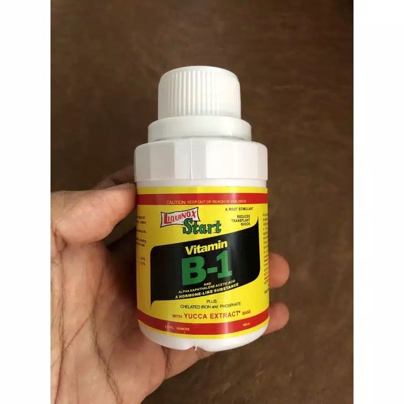 VITAMIN B1 tanaman