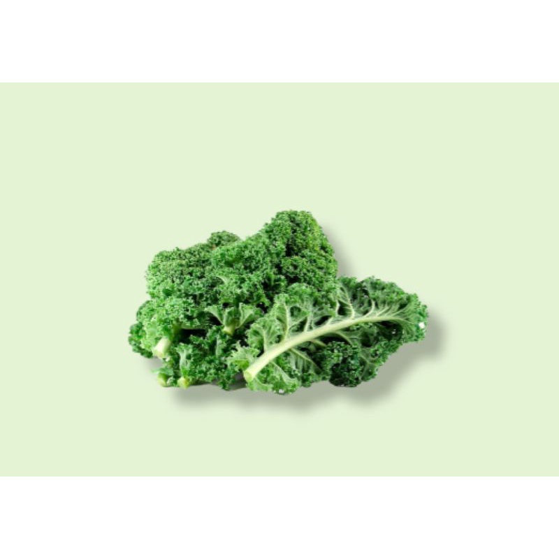 sayur kale segar / sayur borecole segar 500 grm