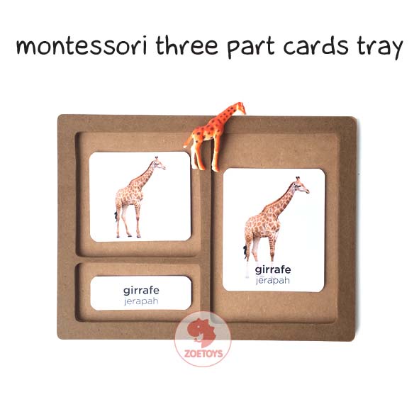 Zoetoys Montessori Three Part Cards Tray | LANGUAGE | Mainan Edukasi Anak