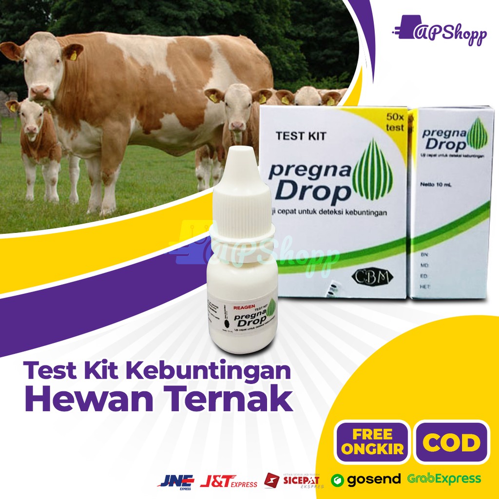 Pregna Drop Test Kit Deteksi Kebuntingan Hewan Ternak