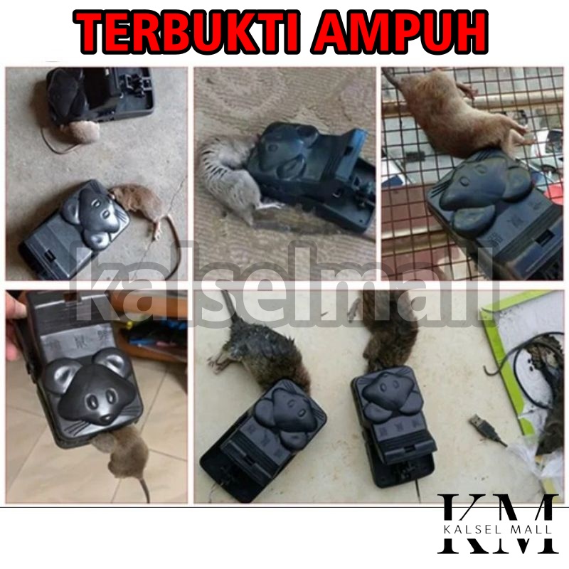 Jebakan Jepitan Perangkap Penjebak Jepitan Tikus PALING EFEKTIF AMPUH BISA DIPAKAI KEMBALI Jepretan Pembasmi Pengusir Mouse Trap Jepit Aman Tanpa Racun Basmi Tikus ART48