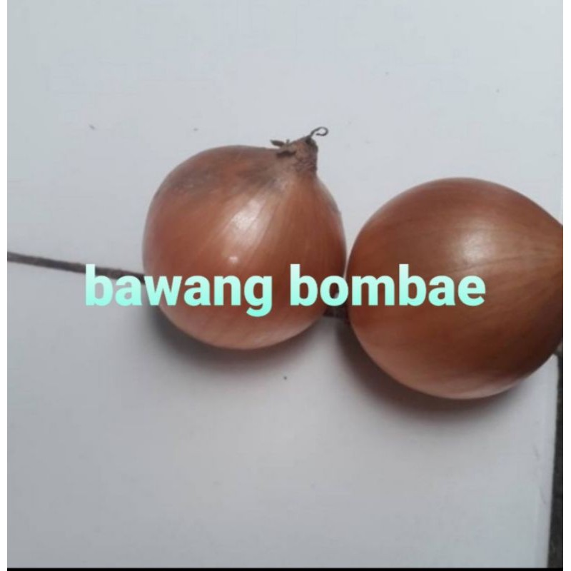 

BAWANG BOMBAE/500grm