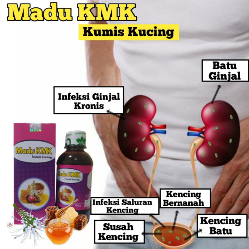 Madu KMK kumis Kucing Obat Saluran Kencing Batu Ginjal Kandung Kemih