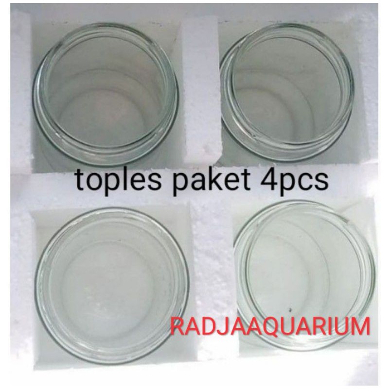 botol cupang bekas ovomaltin toples ikan cupang botol kaca jar toples