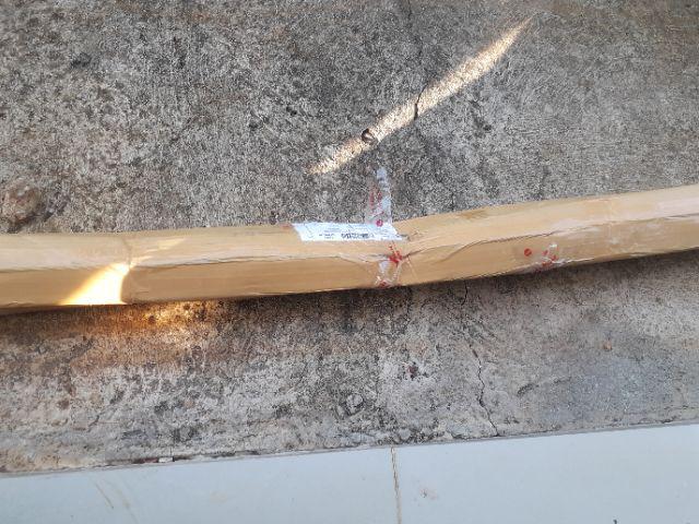 Bibit Tanaman Hias Daun Aglaonema Lipstiksian Aurora