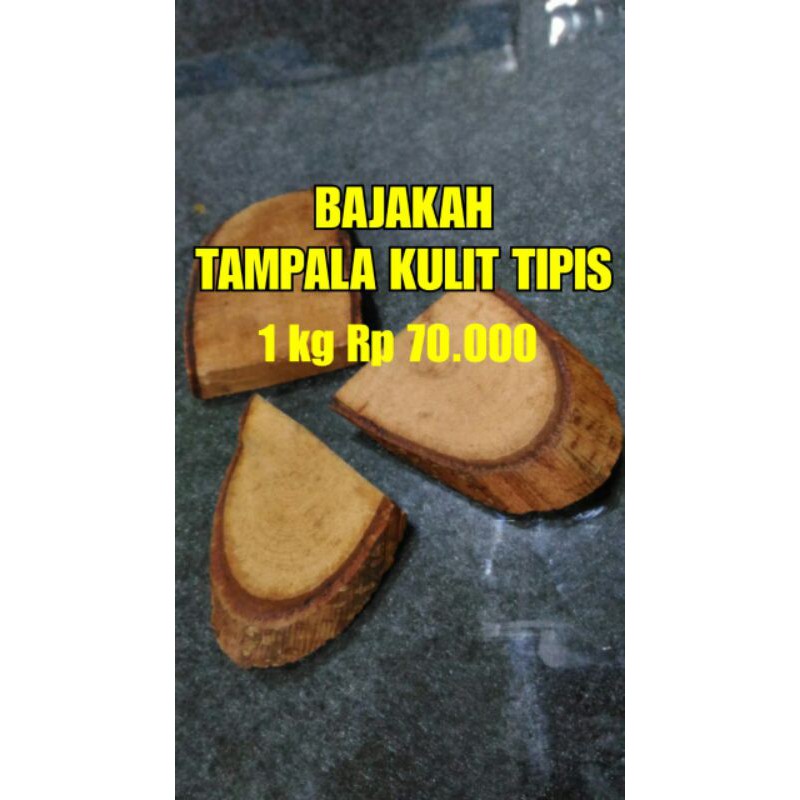 

BAJAKAH TAMPALA KULIT TIPIS harga 1kg Rp.74.000