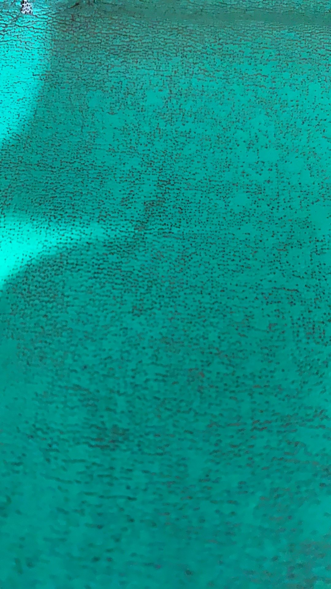 Besek Bambu Super  25*25*8/pasang