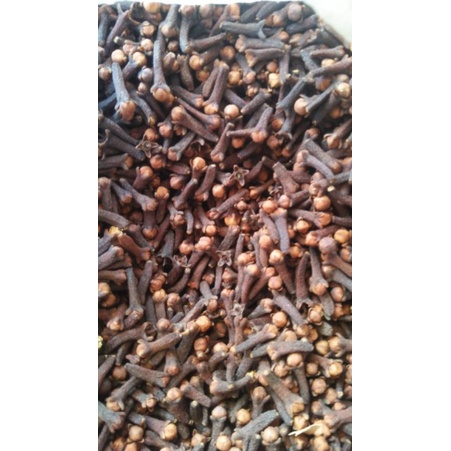 

Cengkeh Manggarai