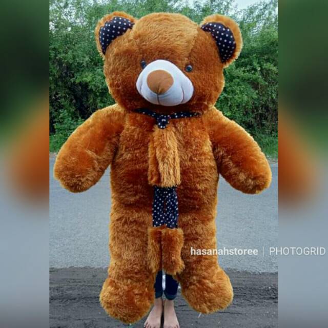 3m teddy bear