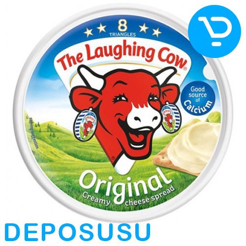 

THE LAUGHING COW 8 PORTIONS 120g