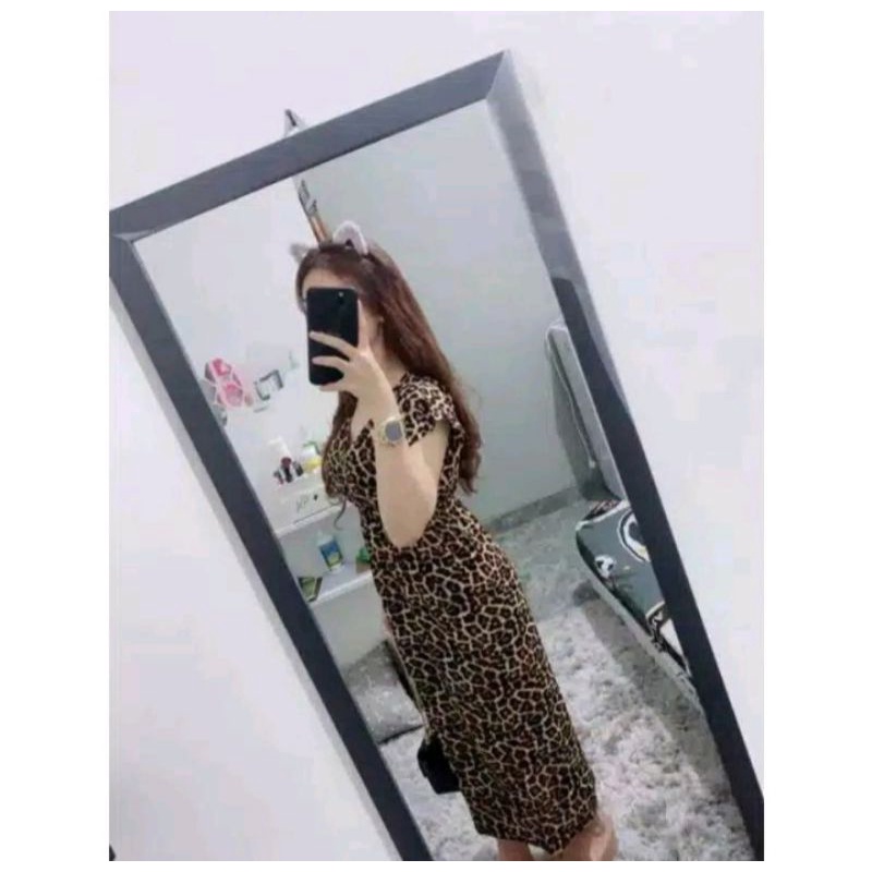 DASTER MANOHARA BUSUI LEOPARD