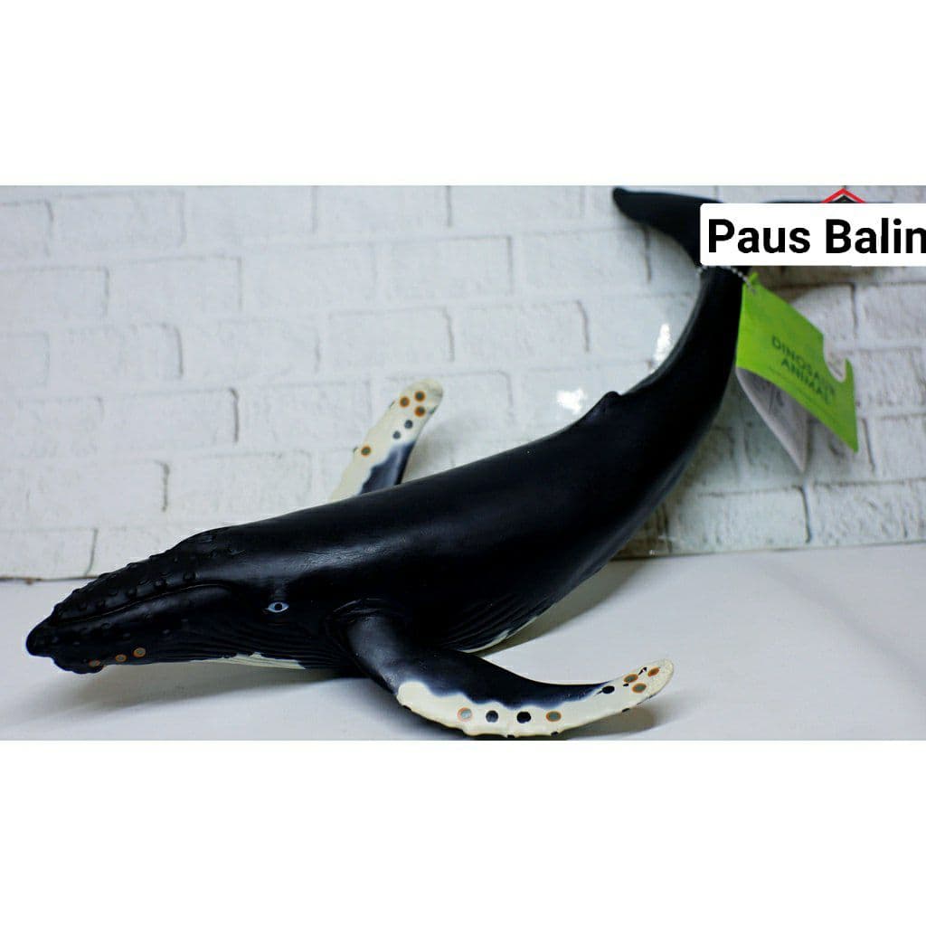 Figure Paus Bungkuk - New Canna Mainan Edukasi Dinosaurus Paus Balin