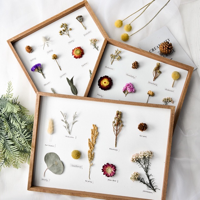 Dried Flower Frame Pajangan Kamar  Aesthetic  Frame 