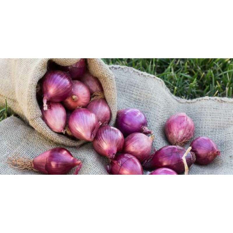 

bawang merah sekilo